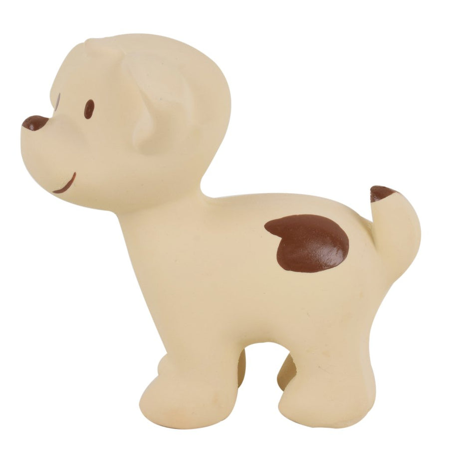 Puppy - Natural Rubber Baby Rattle & Bath Toy - Tikiri Toys
